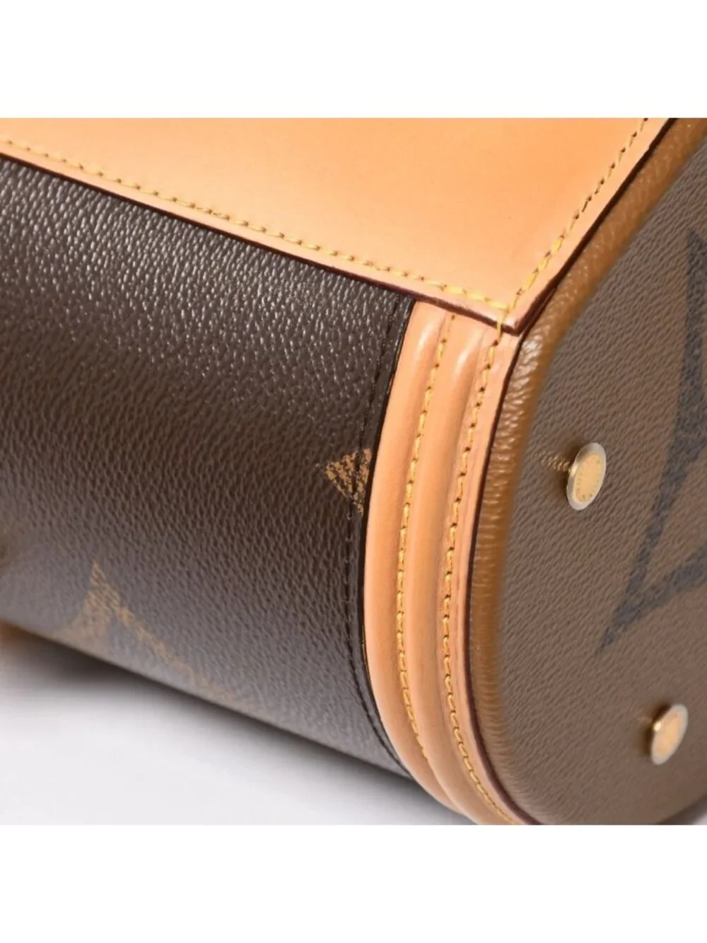Louis Vuitton Cannes Vanity Monogram Giant Brown Reverse Shoulder Bag
